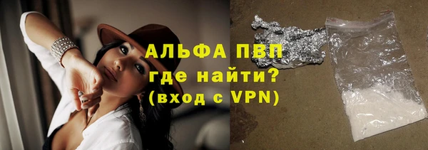гашик Новозыбков