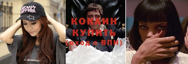 гашик Новозыбков