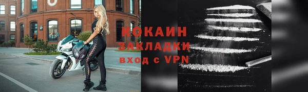 гашик Новозыбков