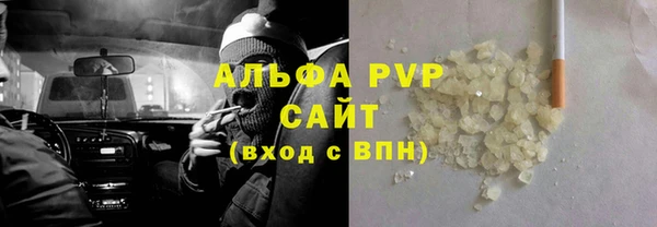 гашик Новозыбков