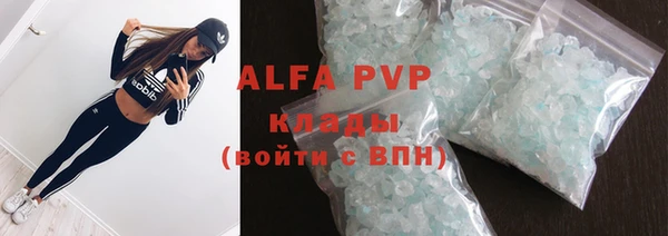 гашик Новозыбков