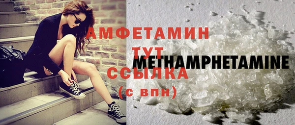 гашик Новозыбков