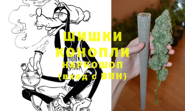 гашик Новозыбков