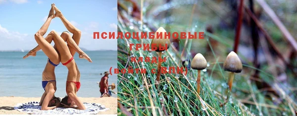 герыч Новокубанск