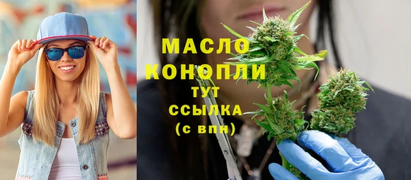 гашик Новозыбков