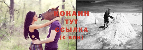 амф Новодвинск