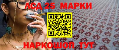 шишки Бийск