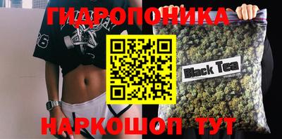 шишки Бийск