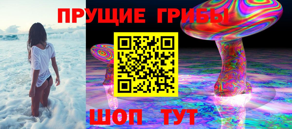 Шарыпово  Псилоцибиновые грибы ЛСД  Вход с VPN  Галлюциногенные грибы Psilocybine cubensis 