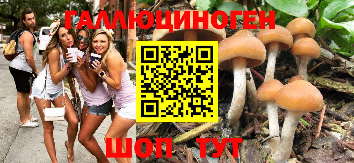 Галлюциногенные грибы MAGIC MUSHROOMS Шарыпово