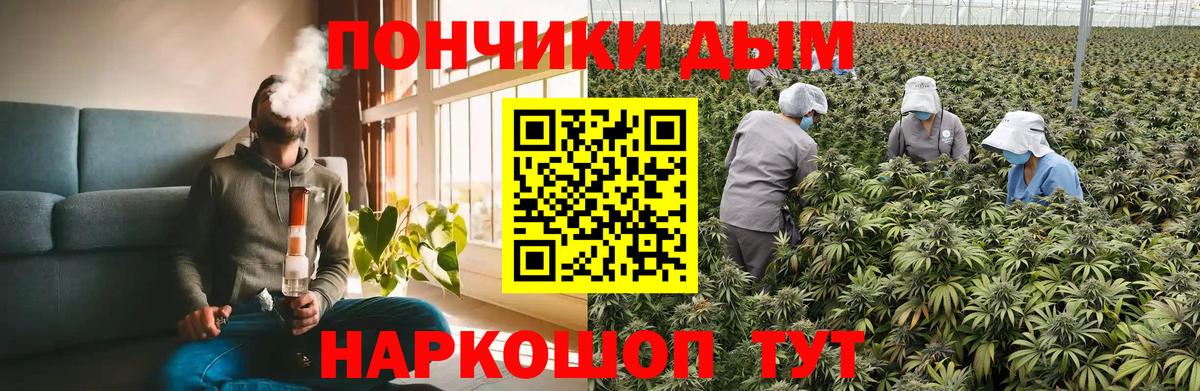 Шарыпово  Бошки марихуана OG Kush  Каннабис сатива  МАРИХУАНА план  Вход с VPN 